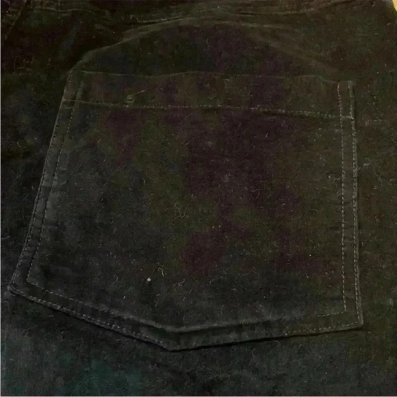 Velvet Flare Boot Cut Pant NEW Velour Velveteen Sapphire  Peruvian Connection - Picture 6 of 9